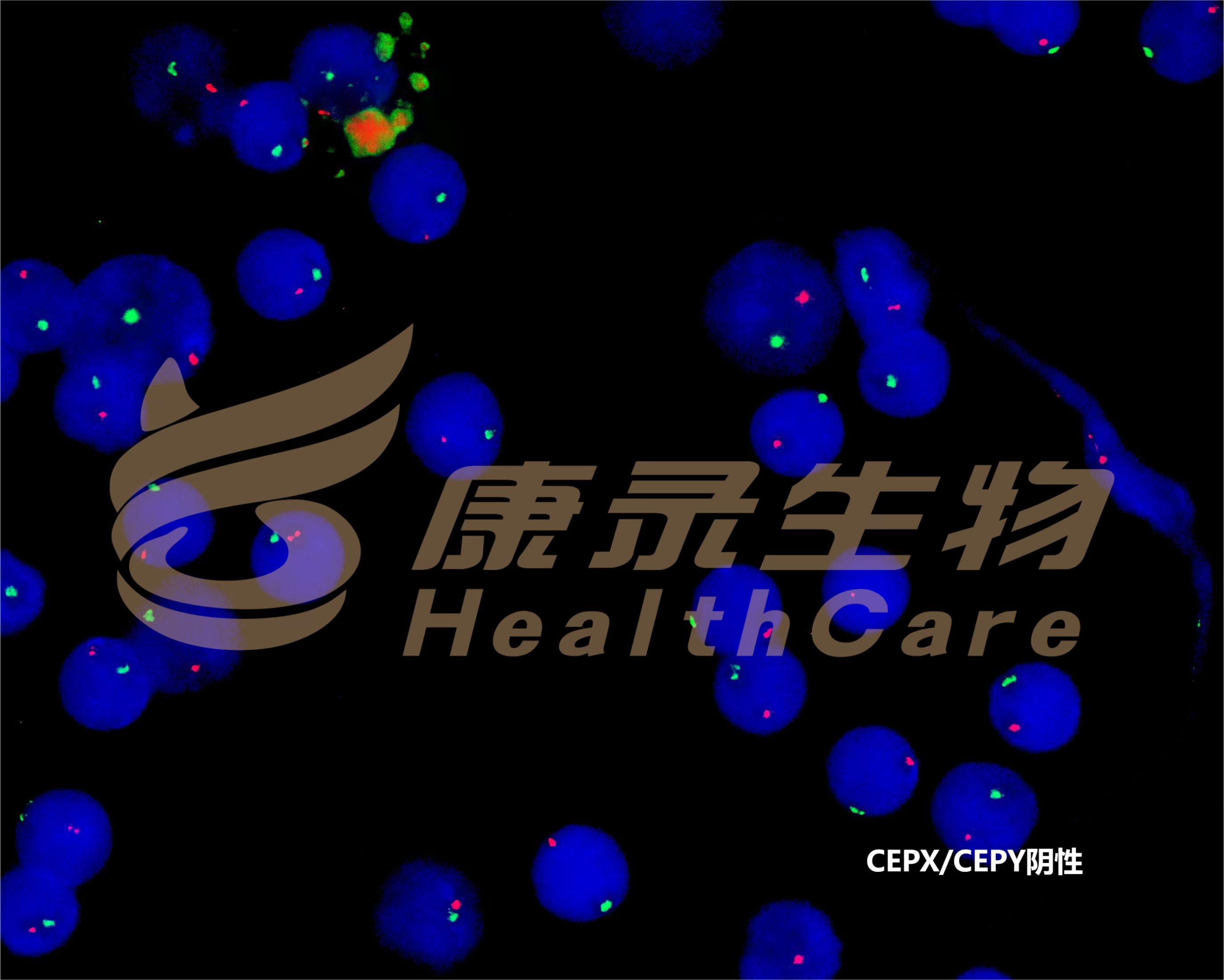 中国·拉斯维加斯(3499·官方认证)网站-Officialwebsite